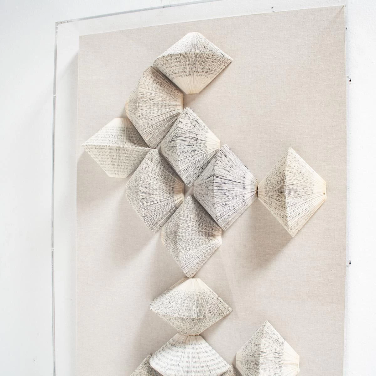 Book Assortment Chapter One 4 Book Assortment Chapter One - Image 2