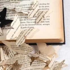 The Butterfly Effect -Furniture Store ButterflyEffect.03