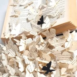 The Butterfly Effect -Furniture Store ButterflyEffect.05