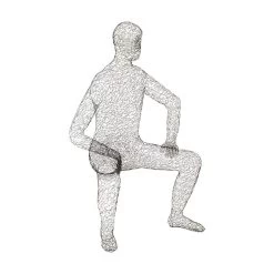 Crazy Wire Lounging Male