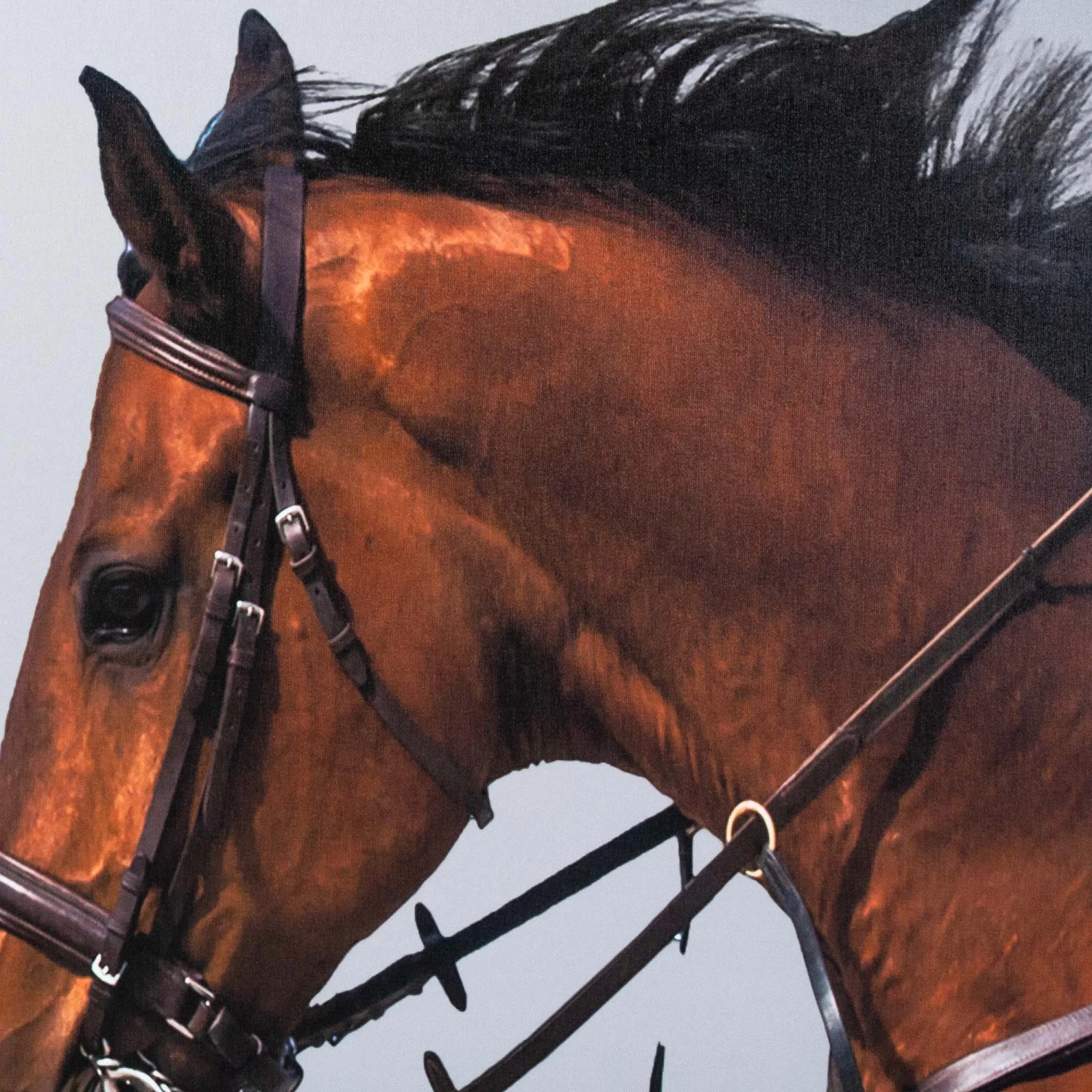 Framed Leaping Equestrian Artwork On Silk Cloth Left - Grey 5 Framed Leaping Equestrian Artwork On Silk Cloth Left - Grey - Image 3