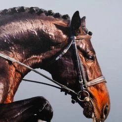 Framed Leaping Equestrian Artwork On Silk Cloth Right - Grey 12 Framed Leaping Equestrian Artwork On Silk Cloth Right - Grey -Furniture Store FramedLeapingEquestrianArtworkonSilkClothRight Grey.03