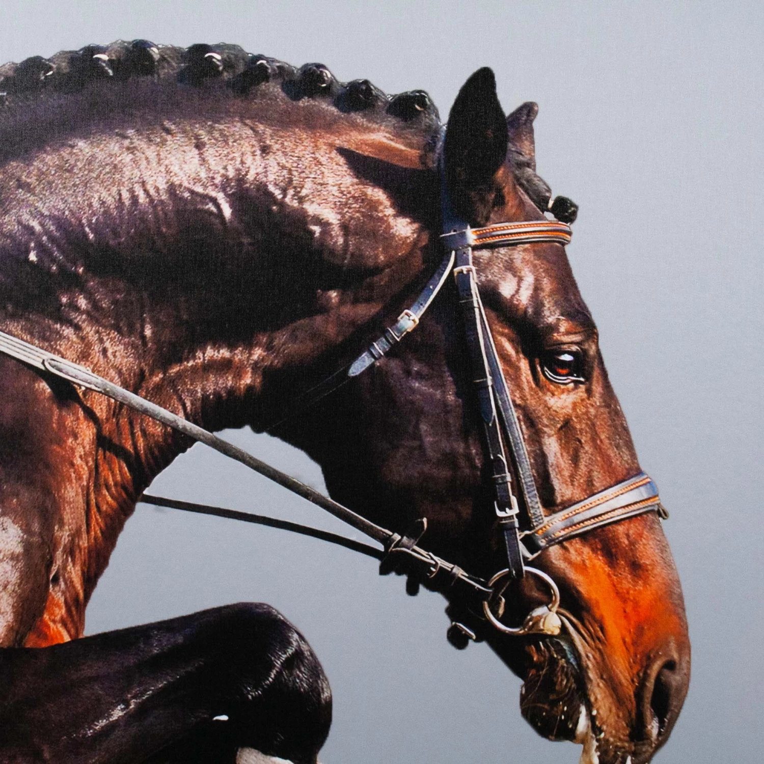 Framed Leaping Equestrian Artwork On Silk Cloth Right - Grey 6 Framed Leaping Equestrian Artwork On Silk Cloth Right - Grey - Image 4