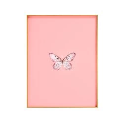 Framed Butterfly Print In Blush