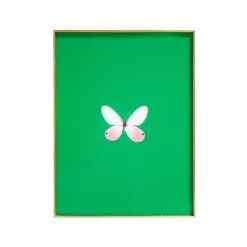 Framed Butterfly Print In Verdant Green