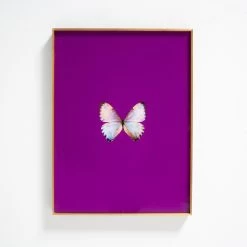 Framed Butterfly Print In Magenta 9 Framed Butterfly Print In Magenta -Furniture Store Framed 20Butterfly 20Print 20In 20Magenta.03