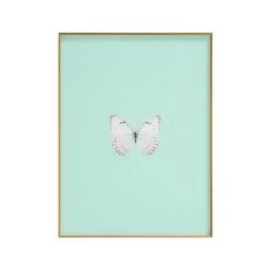 Framed Butterfly Print In Seafoam