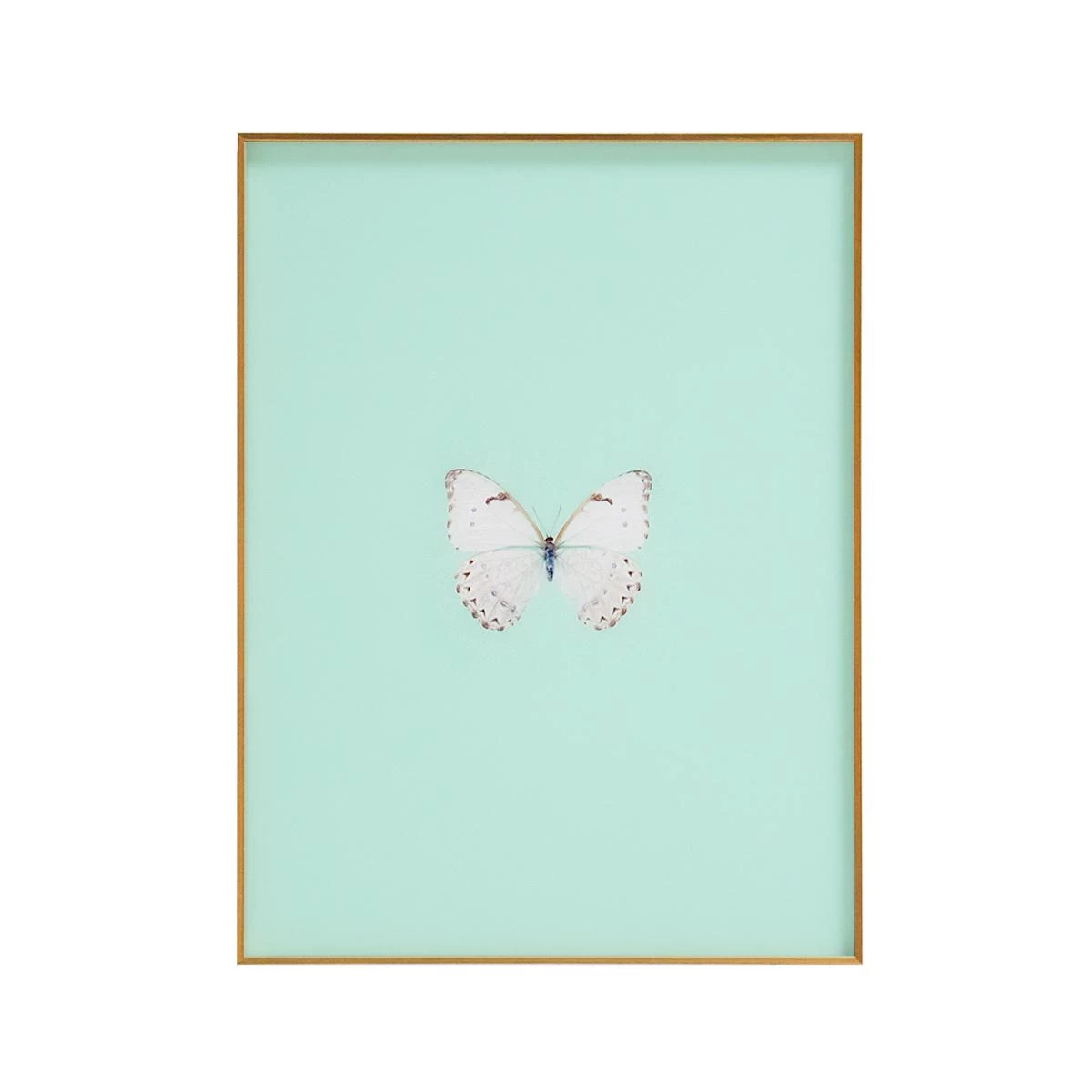 Framed Butterfly Print In Seafoam 3 Framed Butterfly Print In Seafoam