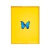 Framed Butterfly Print In Yellow 2 Framed Butterfly Print In Yellow -Furniture Store Framed 20Butterfly 20Print 20In 20Yellow.01