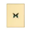 Framed Butterfly Print In Butter -Furniture Store Framed 20Butterfly 20Print 20in 20Butter.01