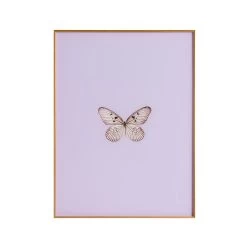 Framed Butterfly Print In Lavender