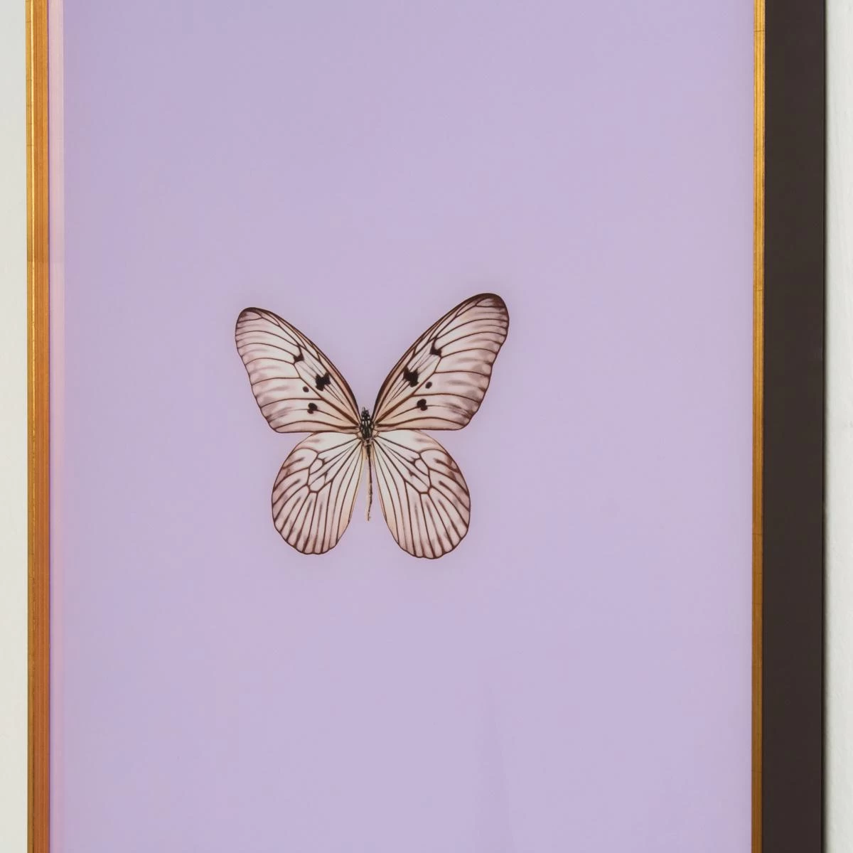 Framed Butterfly Print In Lavender 4 Framed Butterfly Print In Lavender - Image 2