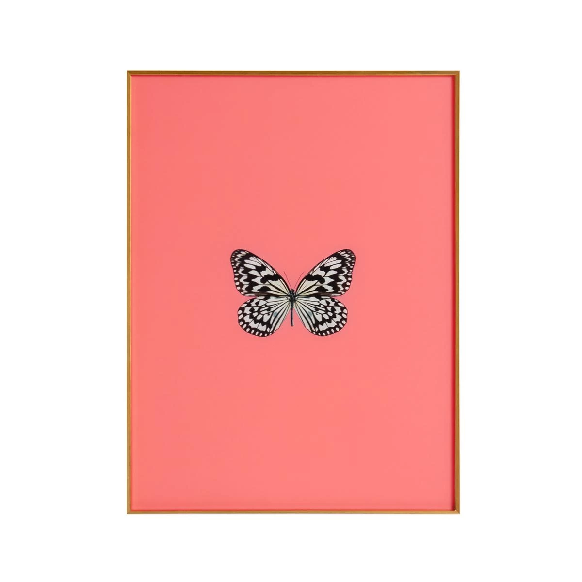 Framed Butterfly Print In Persimmon 3 Framed Butterfly Print In Persimmon
