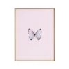 Framed Butterfly Print In Pink Marshmallow -Furniture Store Framed 20Butterfly 20Print 20in 20Pink 20Marshmallow.01