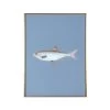 Framed Fish Print In Deep Sea Blue -Furniture Store Framed 20Fish 20Print 20in 20Deep 20Sea 20Blue.01