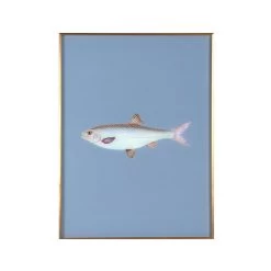 Framed Fish Print In Deep Sea Blue