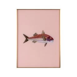 Framed Fish Print In Light Coral