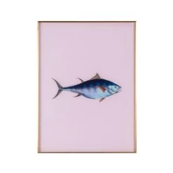 Framed Fish Print In Moonlight
