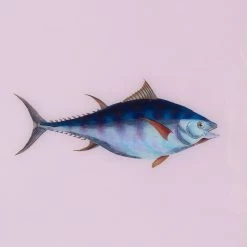 Framed Fish Print In Moonlight -Furniture Store Framed 20Fish 20Print 20in 20Moonlight.03