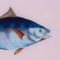 Framed Fish Print In Moonlight -Furniture Store Framed 20Fish 20Print 20in 20Moonlight.04