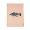 Framed Fish Print In Sand 2 Framed Fish Print In Sand -Furniture Store Framed 20Fish 20Print 20in 20Sand.01