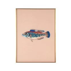 Framed Fish Print In Sand