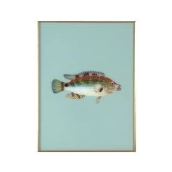 Framed Fish Print In Seagrass