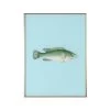 Framed Fish Print In Tide Blue 2 Framed Fish Print In Tide Blue -Furniture Store Framed 20Fish 20Print 20in 20Tide 20Blue.01