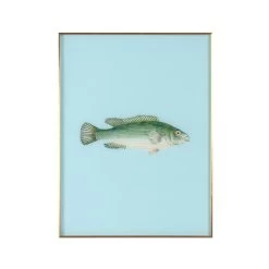 Framed Fish Print In Tide Blue
