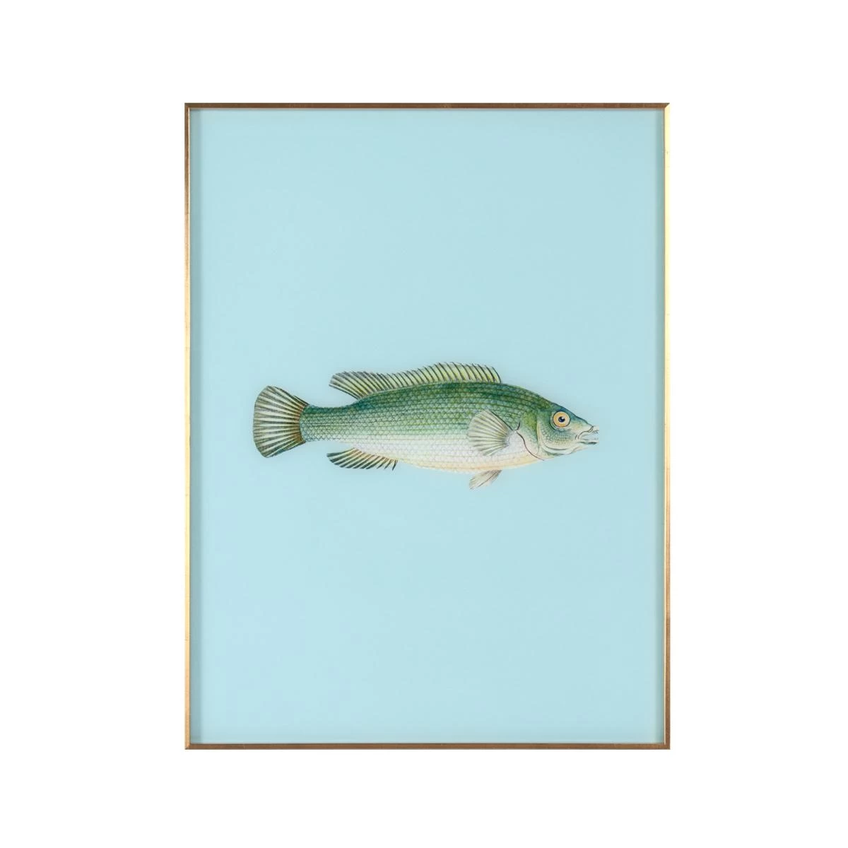 Framed Fish Print In Tide Blue 3 Framed Fish Print In Tide Blue