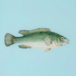 Framed Fish Print In Tide Blue 8 Framed Fish Print In Tide Blue -Furniture Store Framed 20Fish 20Print 20in 20Tide 20Blue.03