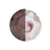 Hybrid Dessert Plate - Nok By Seletti -Furniture Store Hybrid Dessert Plate NOK.01