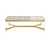 I'm Yours Coffee Table -Furniture Store I mYoursAcrylic BrassCoffeeTable.01