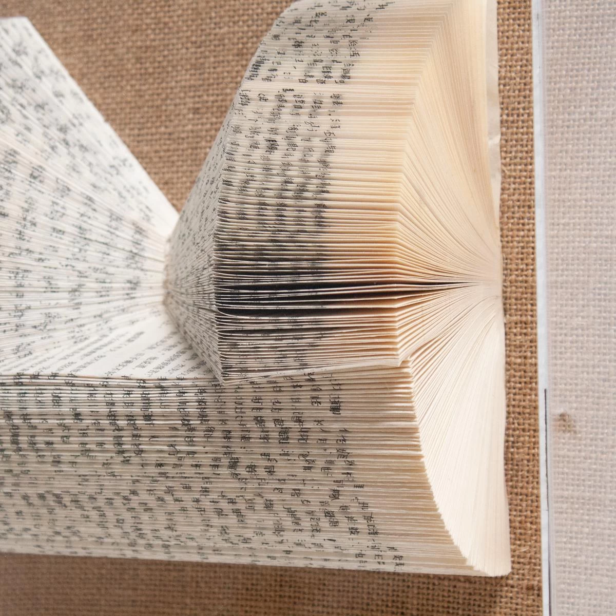 The Library Is Open A 6 The Library Is Open A - Image 4