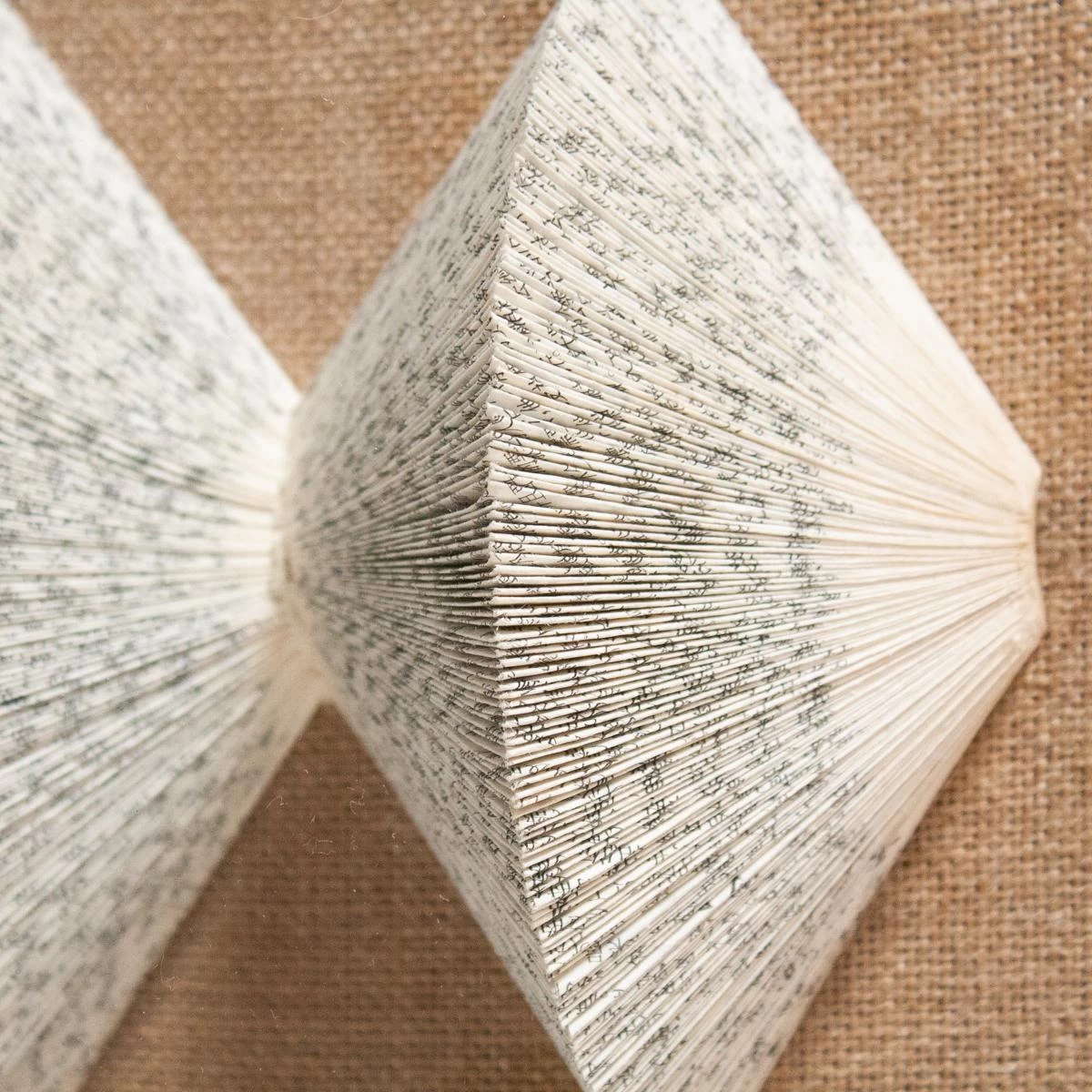 The Library Is Open H 4 The Library Is Open H - Image 2