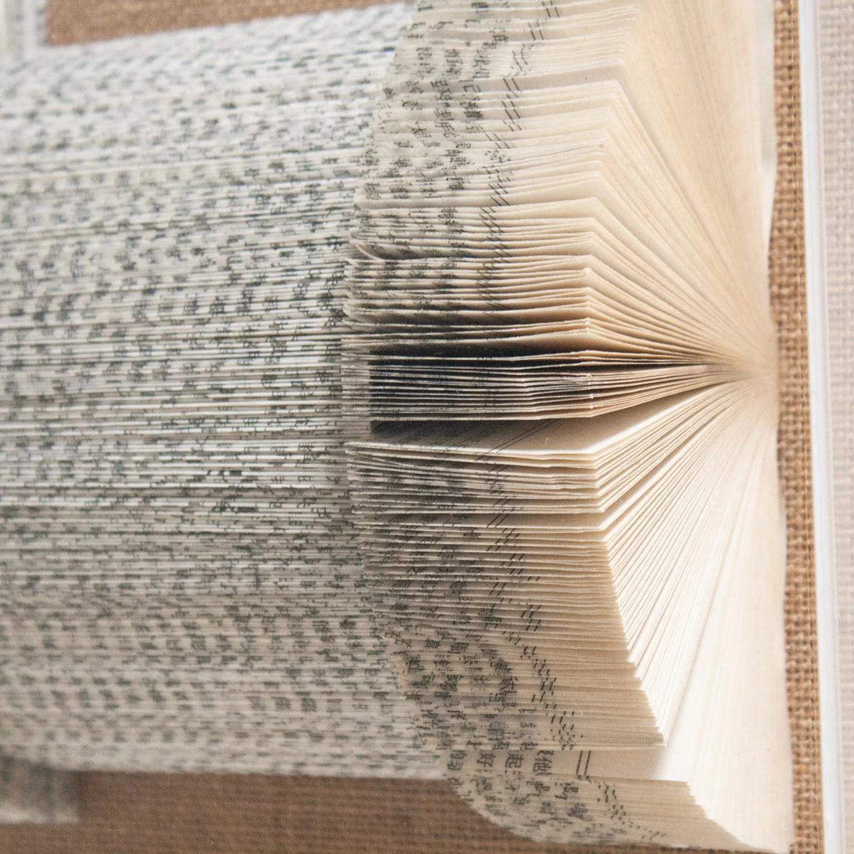 The Library Is Open I 4 The Library Is Open I - Image 2