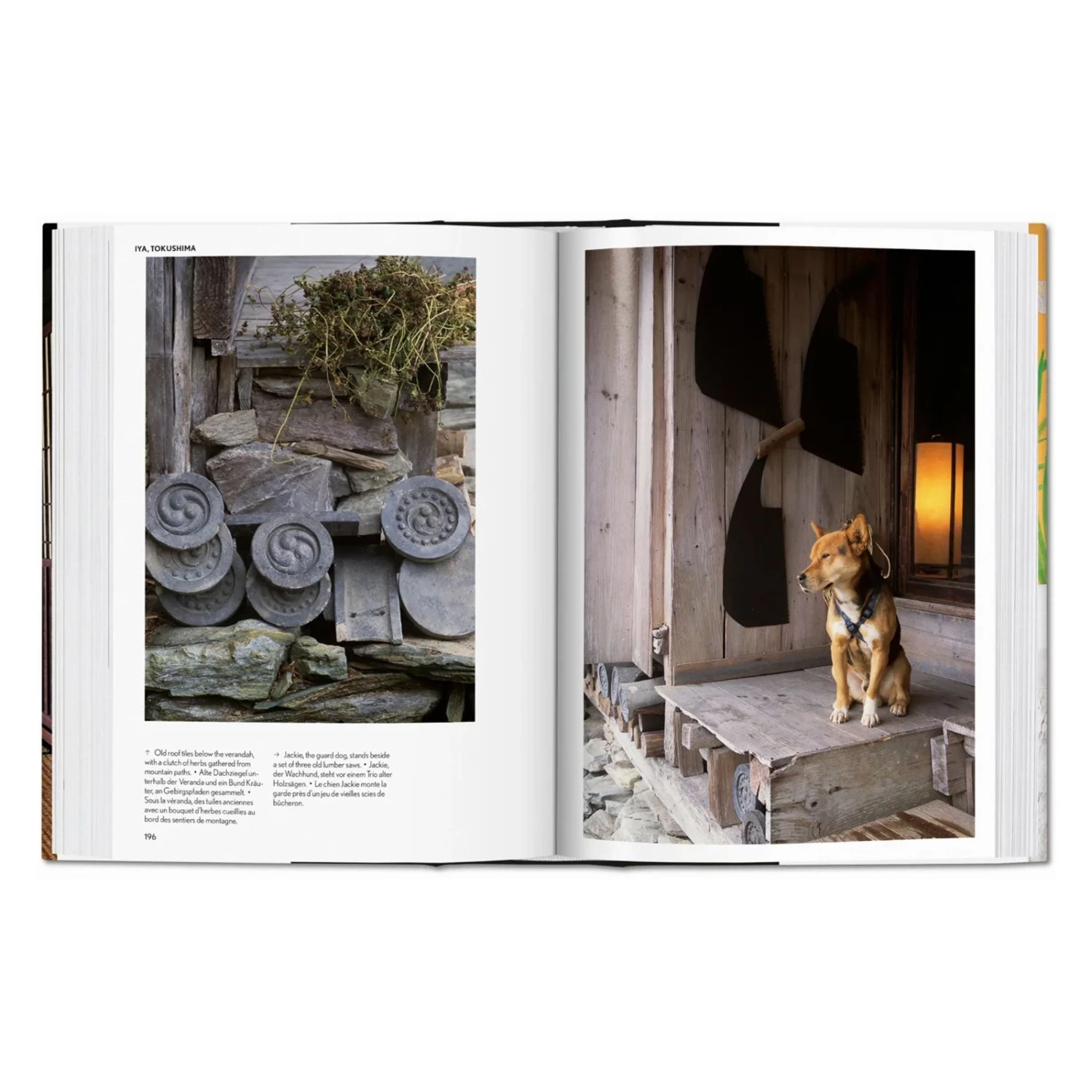 Living In Japan (40th Anniversary Edition) 4 Living In Japan (40th Anniversary Edition) - Image 2