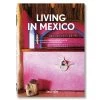 Living In Mexico (40th Anniversary Edition) -Furniture Store LivingInMexico 40thAnniversaryEdition .01