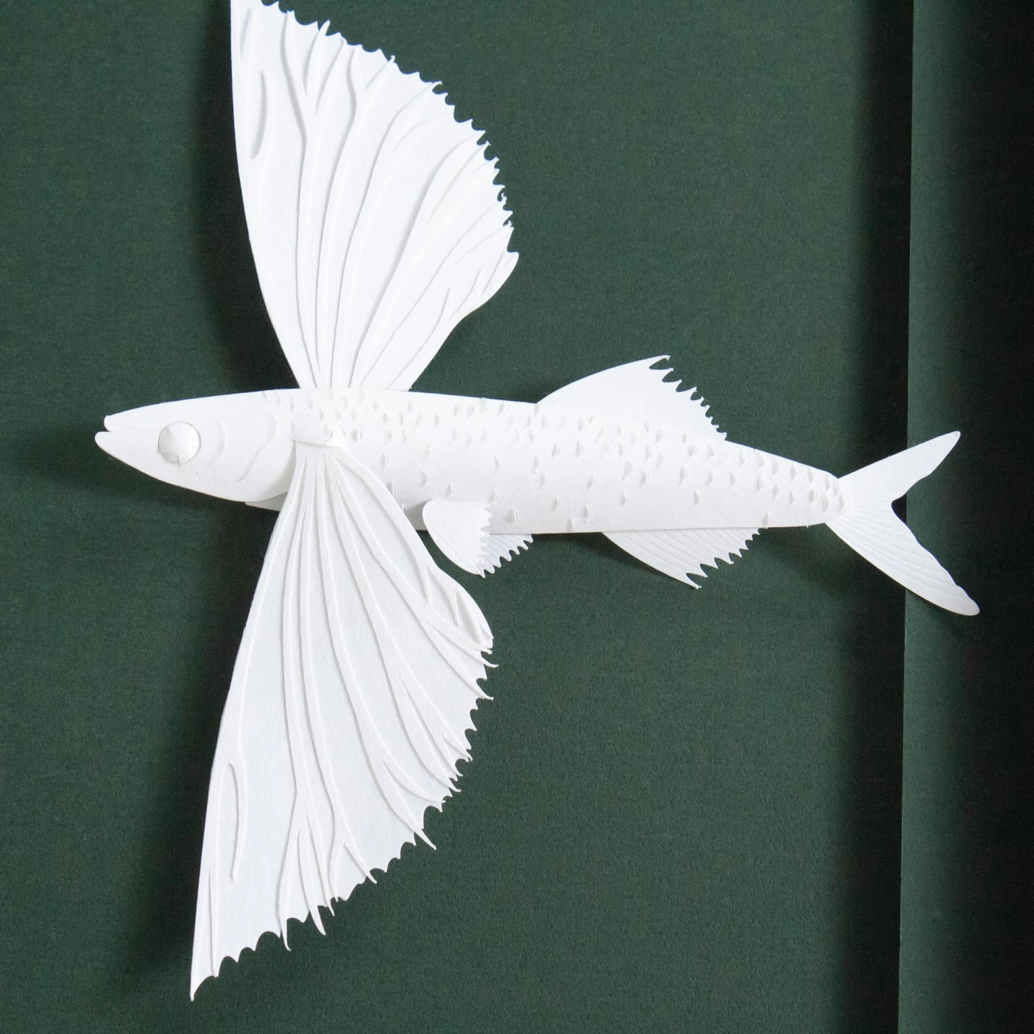 Madaket Flying Fish 7 Madaket Flying Fish - Image 5