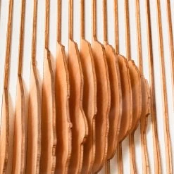 Malware 3D Portrait 13 Malware 3D Portrait -Furniture Store Malware.04