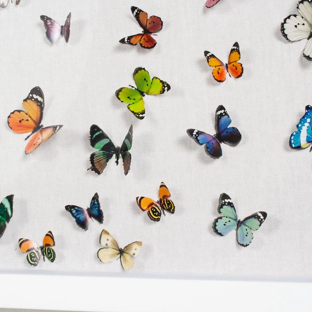 Park Cities Posas 5 Park Cities Posas - Image 3