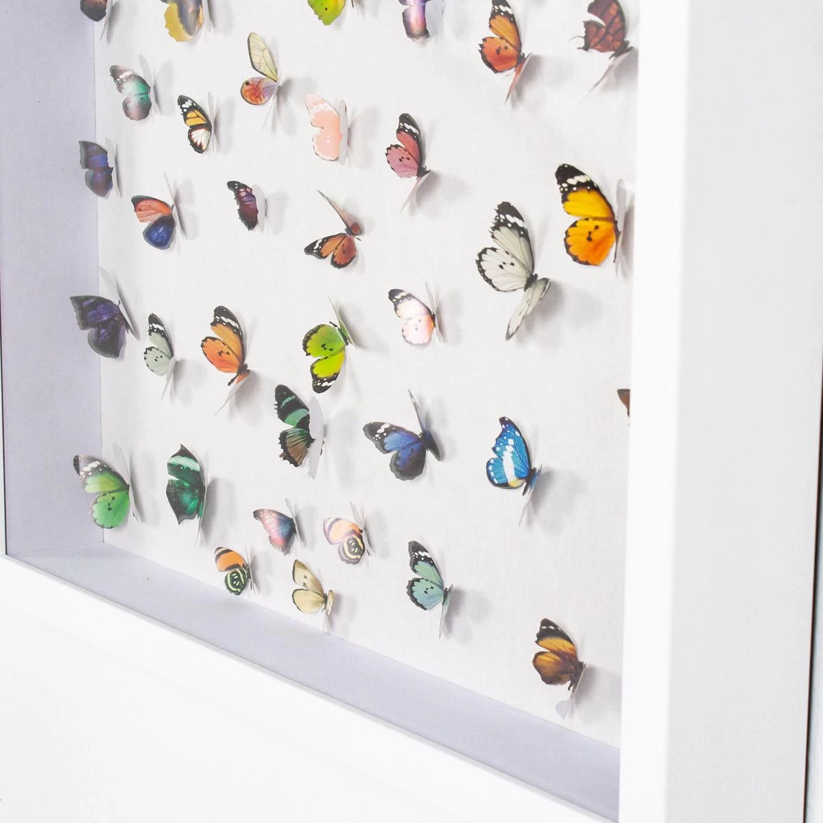 Park Cities Posas 6 Park Cities Posas - Image 4