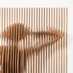 Phish 3D Portrait -Furniture Store Phish.02