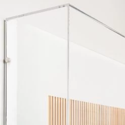 Phish 3D Portrait -Furniture Store Phish.05