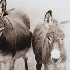 Faith & Hope Framed -Furniture Store RT 30 SP22Faith HopeFramed.03