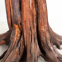 Live Edge Table 2 -Furniture Store RT 32 SP22LiveEdgeTable2.06