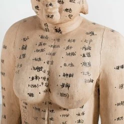 Acupuncture Figure – Woman -Furniture Store RT 45 SP22AcupunctureFigure Woman.05