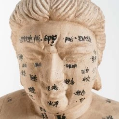 Acupuncture Figure – Woman -Furniture Store RT 45 SP22AcupunctureFigure Woman.06