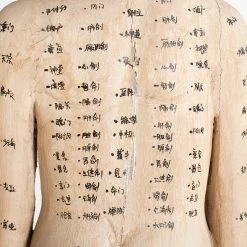 Acupuncture Figure – Woman -Furniture Store RT 45 SP22AcupunctureFigure Woman.08