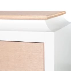 Recon Chest Large In Kitty Grasscloth -Furniture Store ReconChestLargeinKittyGrasscloth.05